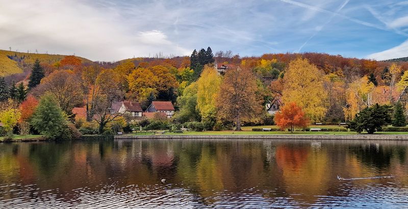 Ещё одна осень прошлаphoto preview