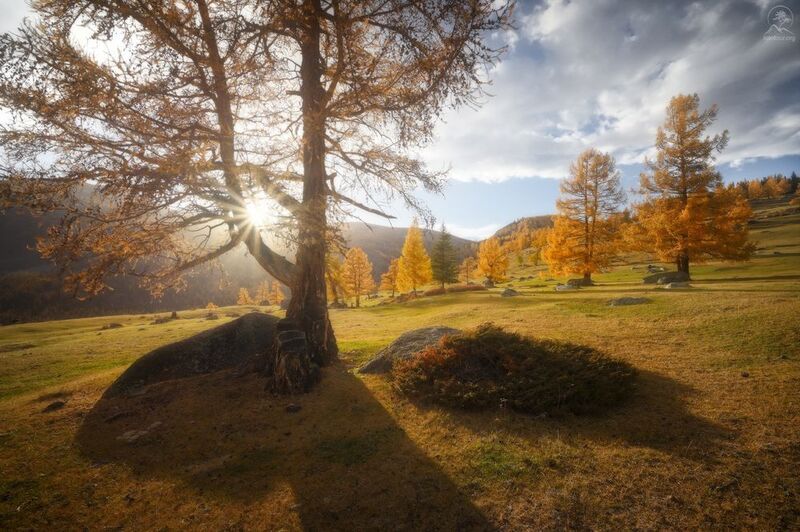 алтай, фототур по алтаю, осень, горы, горный алтай, республика алтай, джазатор Солнечная полянкаphoto preview