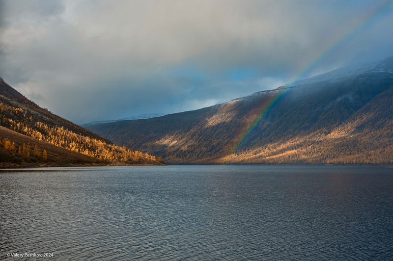 озеро дюпкун, плато путорана, осень, золотая осень, радуга, лиственницы, владимир коваль Счастье есть!)photo preview
