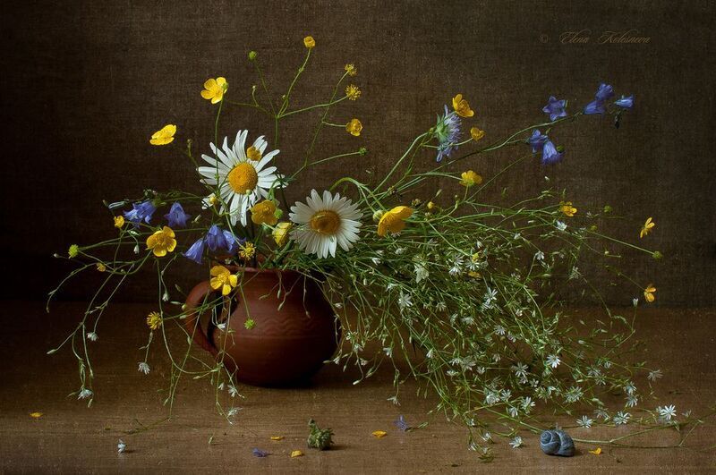 лето, букет, цветы Летний букетphoto preview