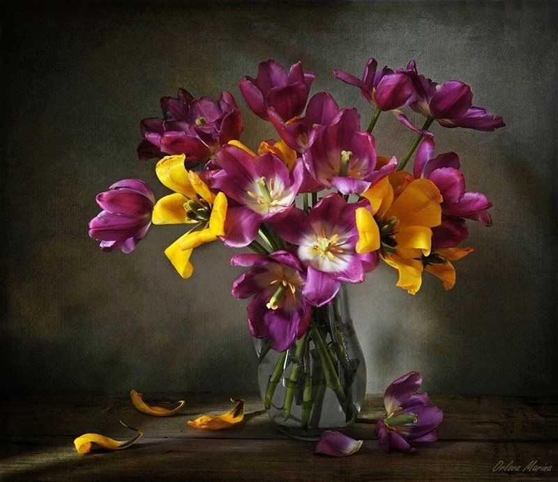 Сезон тюльпановphoto preview