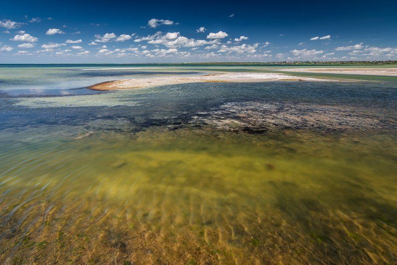 Разноцветье Тилигульского лиманаphoto preview