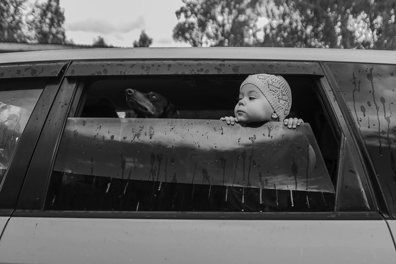 Носы по ветру...photo preview