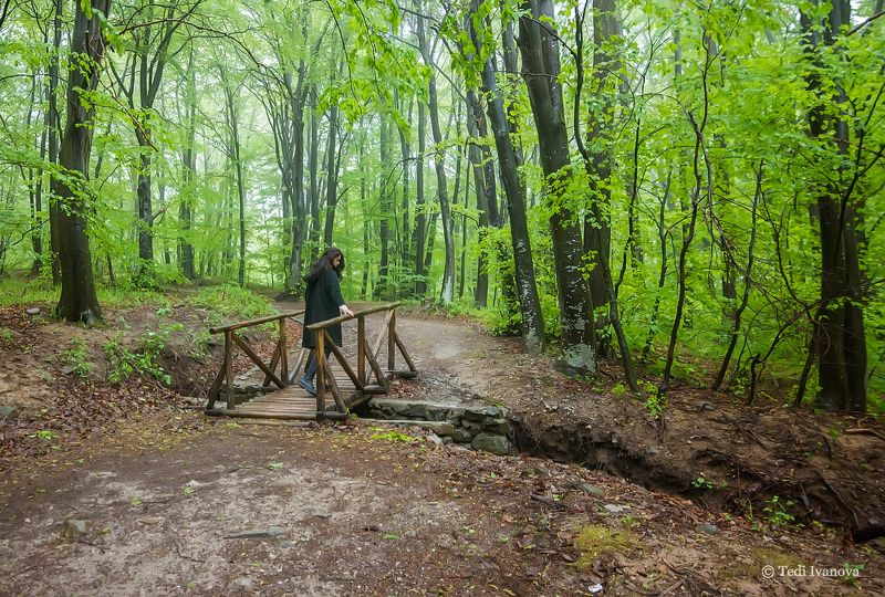 Landscape Пролетна Витошаphoto preview