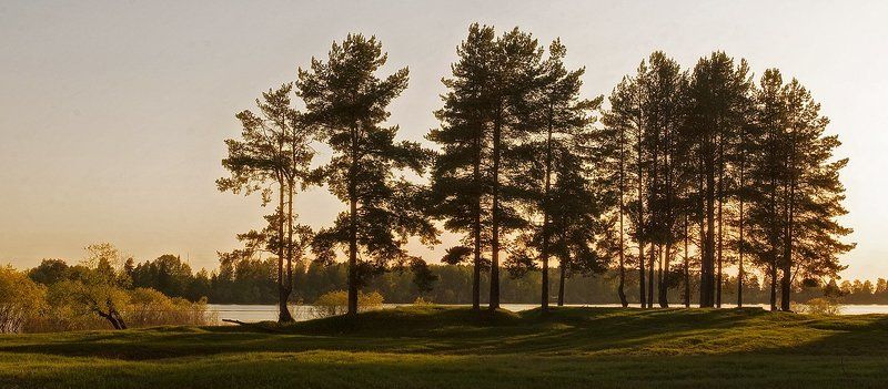 **********photo preview