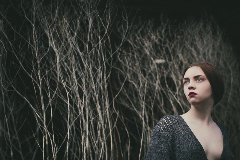 music of herbsphoto preview