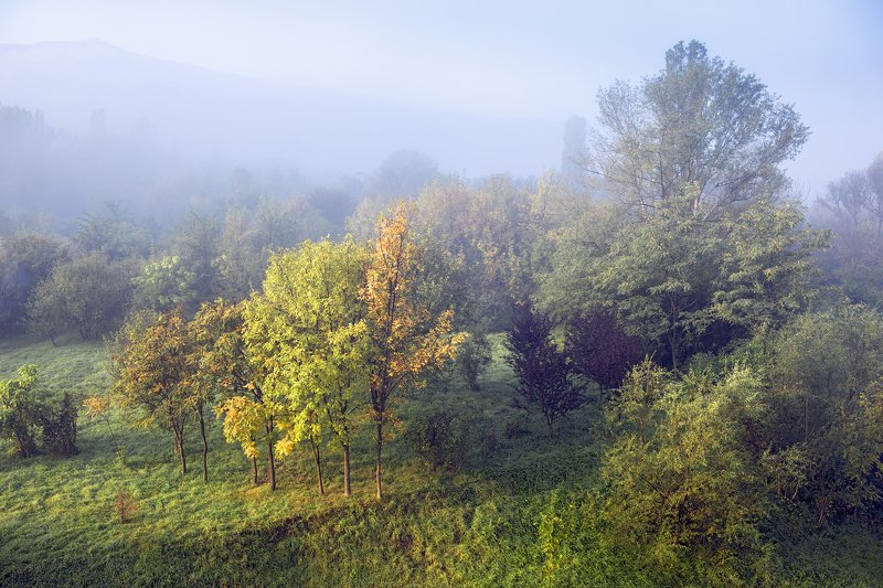 Fog and Sunshinephoto preview