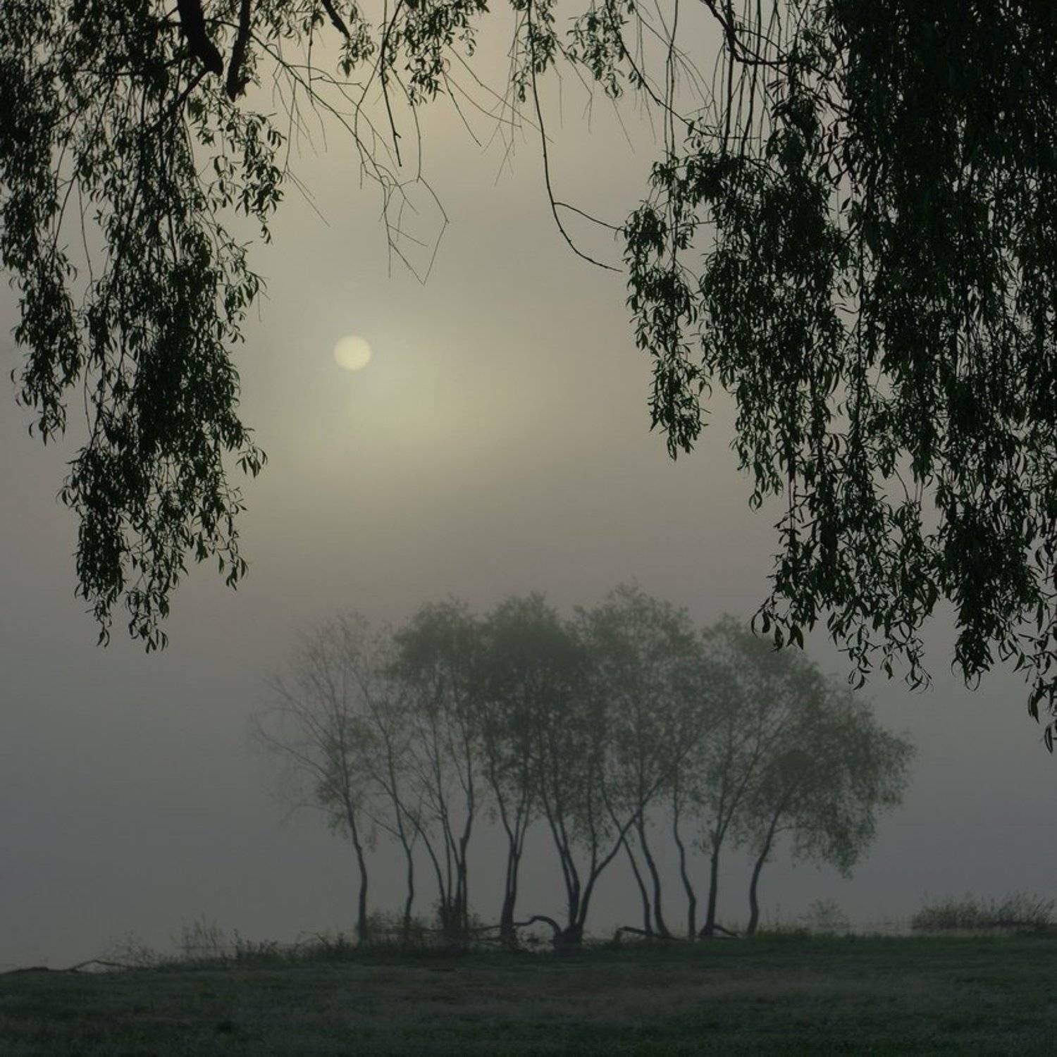 Автор: Сергей Шляга , Сергей Шляга