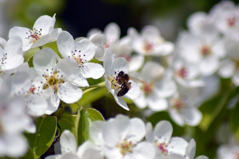 Работницаphoto preview