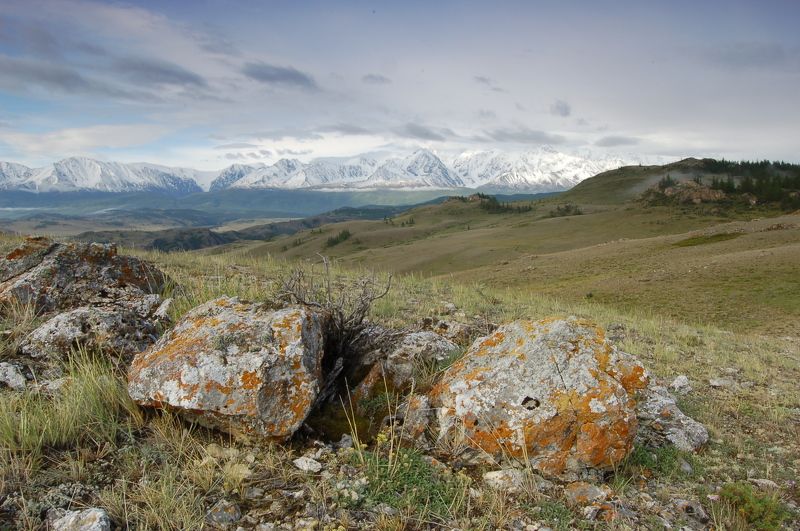 Горный алтай, Курайская степь В Курайской степиphoto preview