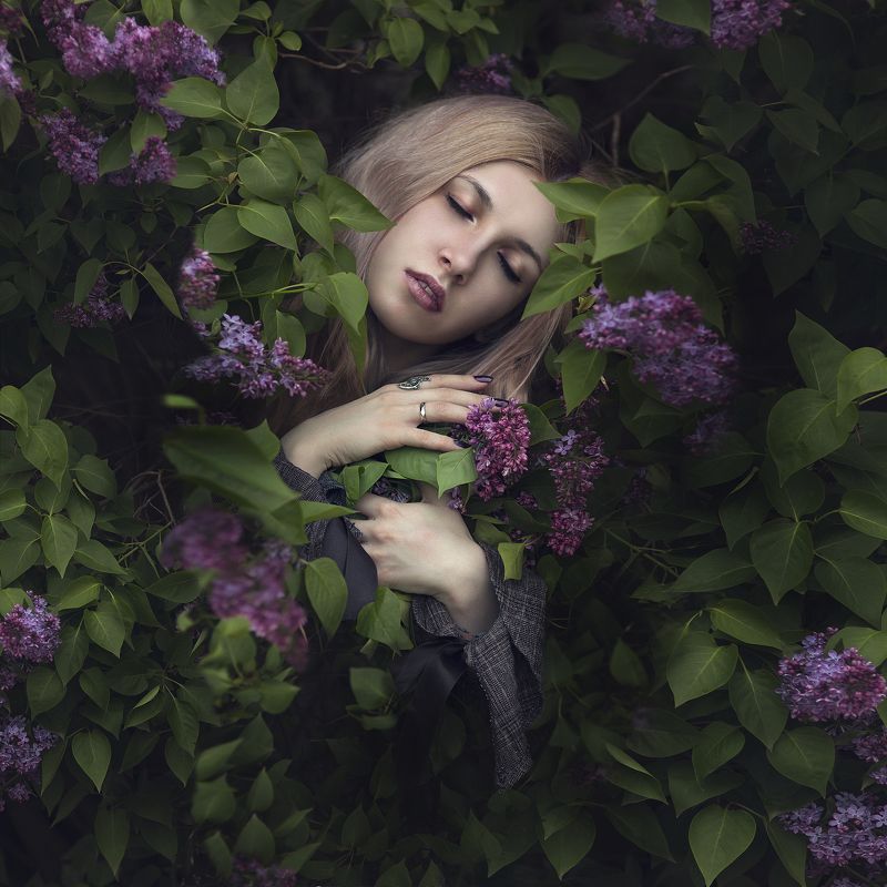 сирень photo preview