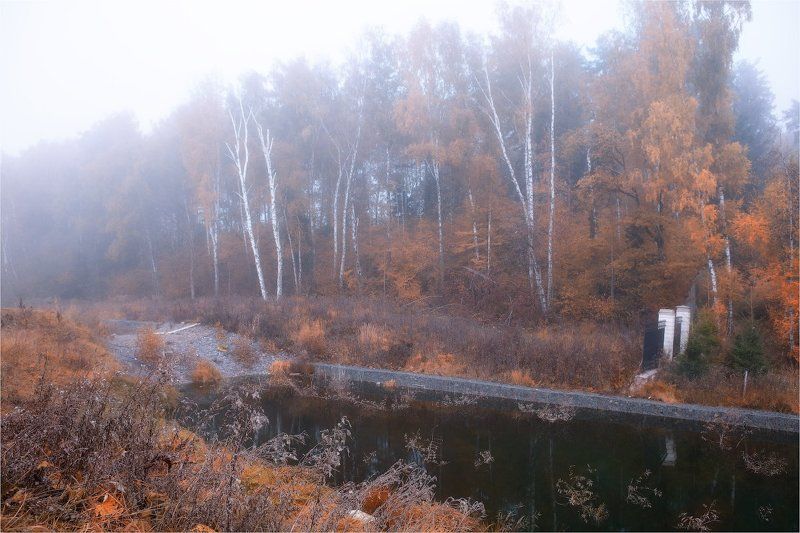 осенняяphoto preview