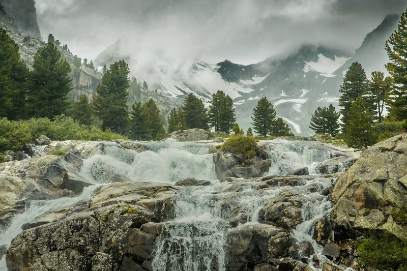 Дарашколя косы русыеphoto preview