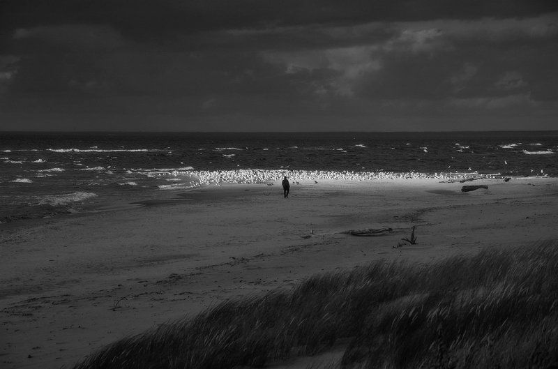 Страсти по Хичкоку (2)photo preview