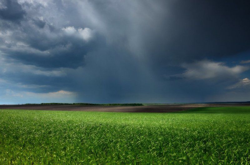 Перед грозойphoto preview