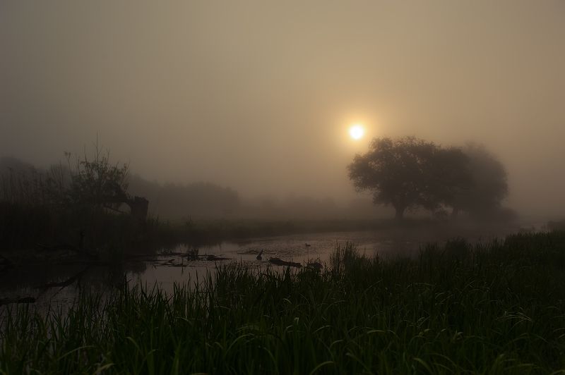 Чужие здесь не ходят...photo preview