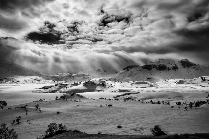 Lights playing...photo preview