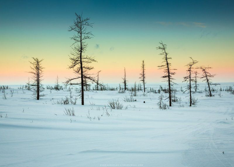 Апрельский градиентphoto preview