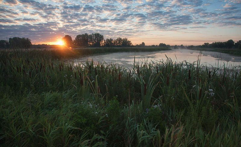 Утром на озереphoto preview