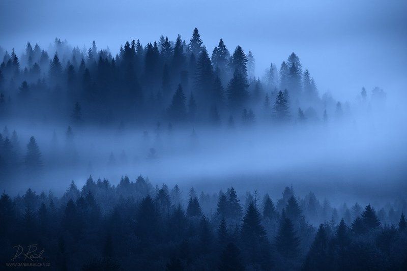 Pieniny, Slowakei, Slovak Republic, Slovak,  National park Pieniny, Europe, trees, forest, mountains, spring, cold, nature, travel, blue, twilight, dawn, mood, atmosphere, outdoors, spruce, awesome, beautiful place, night landscape, awesome place, interes Night forestphoto preview