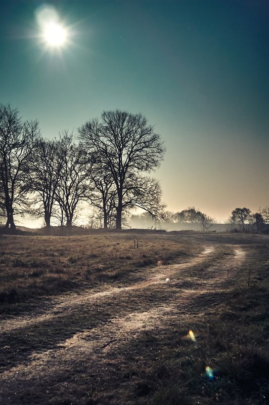 Magic nightphoto preview