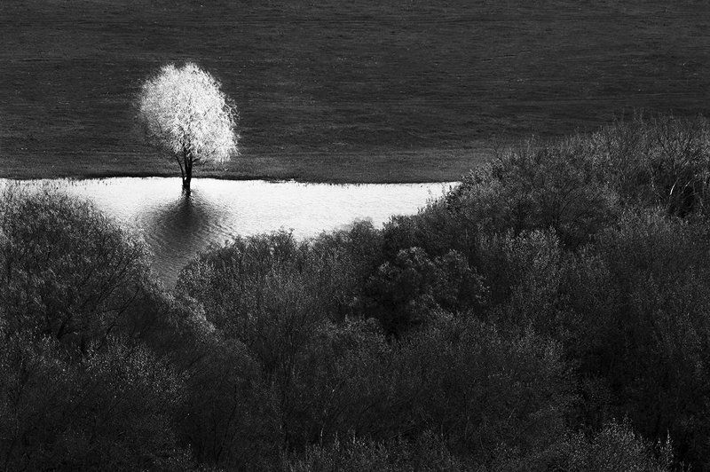 Отторжениеphoto preview