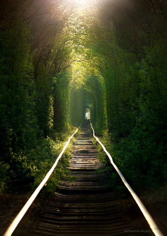 Весна, Клевань, Туннель, Украина Восход солнца в туннеле любвиphoto preview