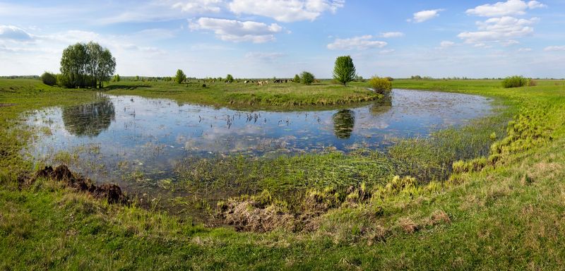 Сельские мотивы.photo preview