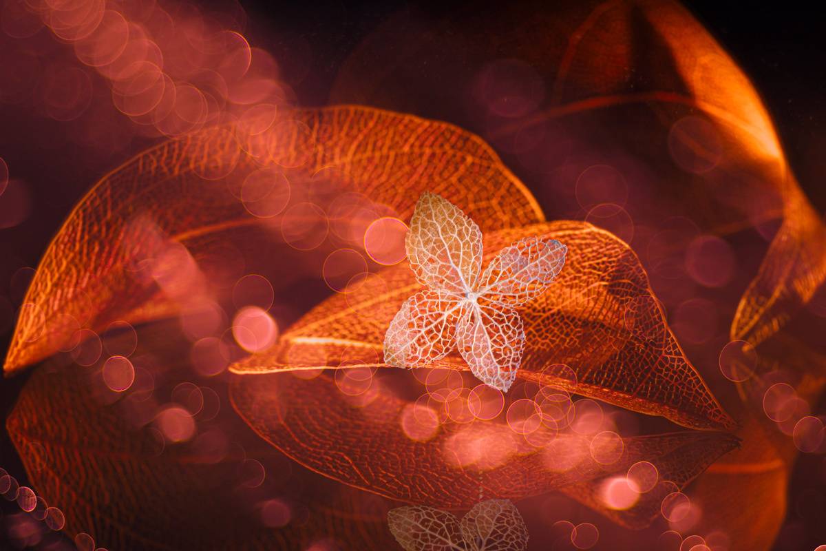 , Копцев Игорь