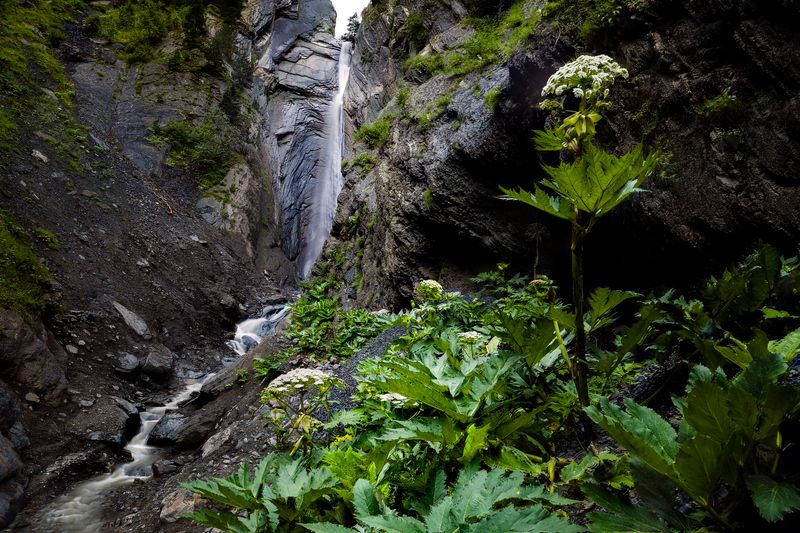 горы, Дагестан, Южный Дагестан, пейзаж, рассвет, водопад, панорама, растения, цветы photo preview