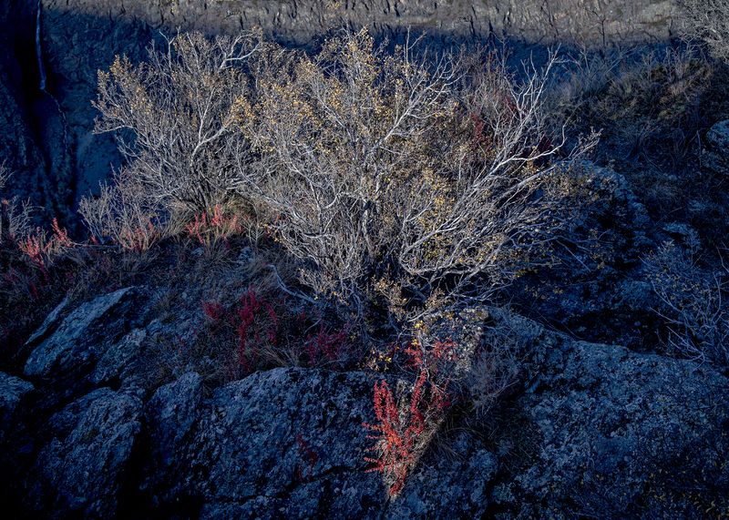 В лучах уходящего солнца фото превью