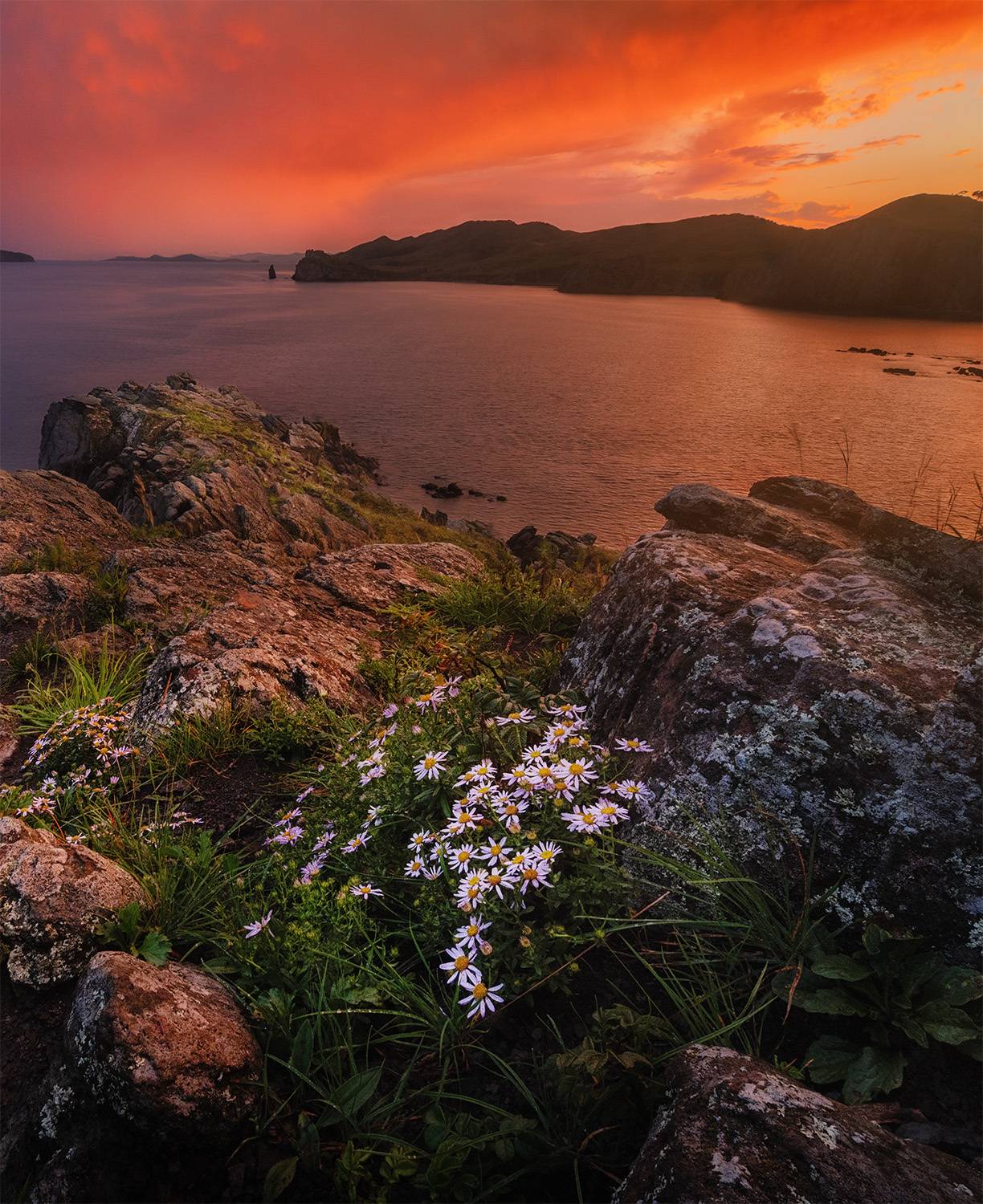 , Андрей Родионов