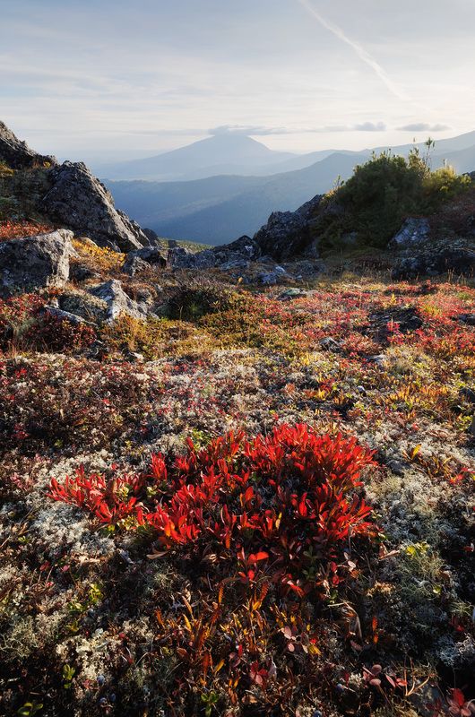 Уральская земляphoto preview