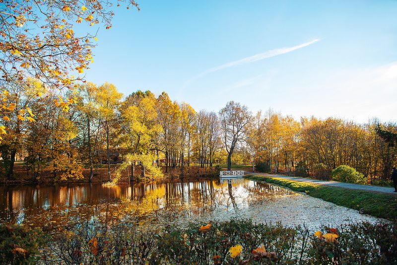 природа, осень, болдино Большое Болдино (часть 3)photo preview