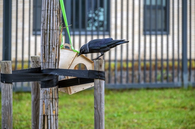 Что там сегодня на завтрак?photo preview