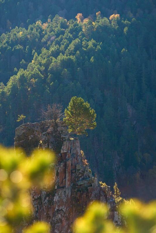 Аватарphoto preview