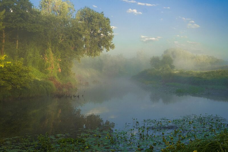 лето речка утро туман природа пейзеж Летнее утро.photo preview