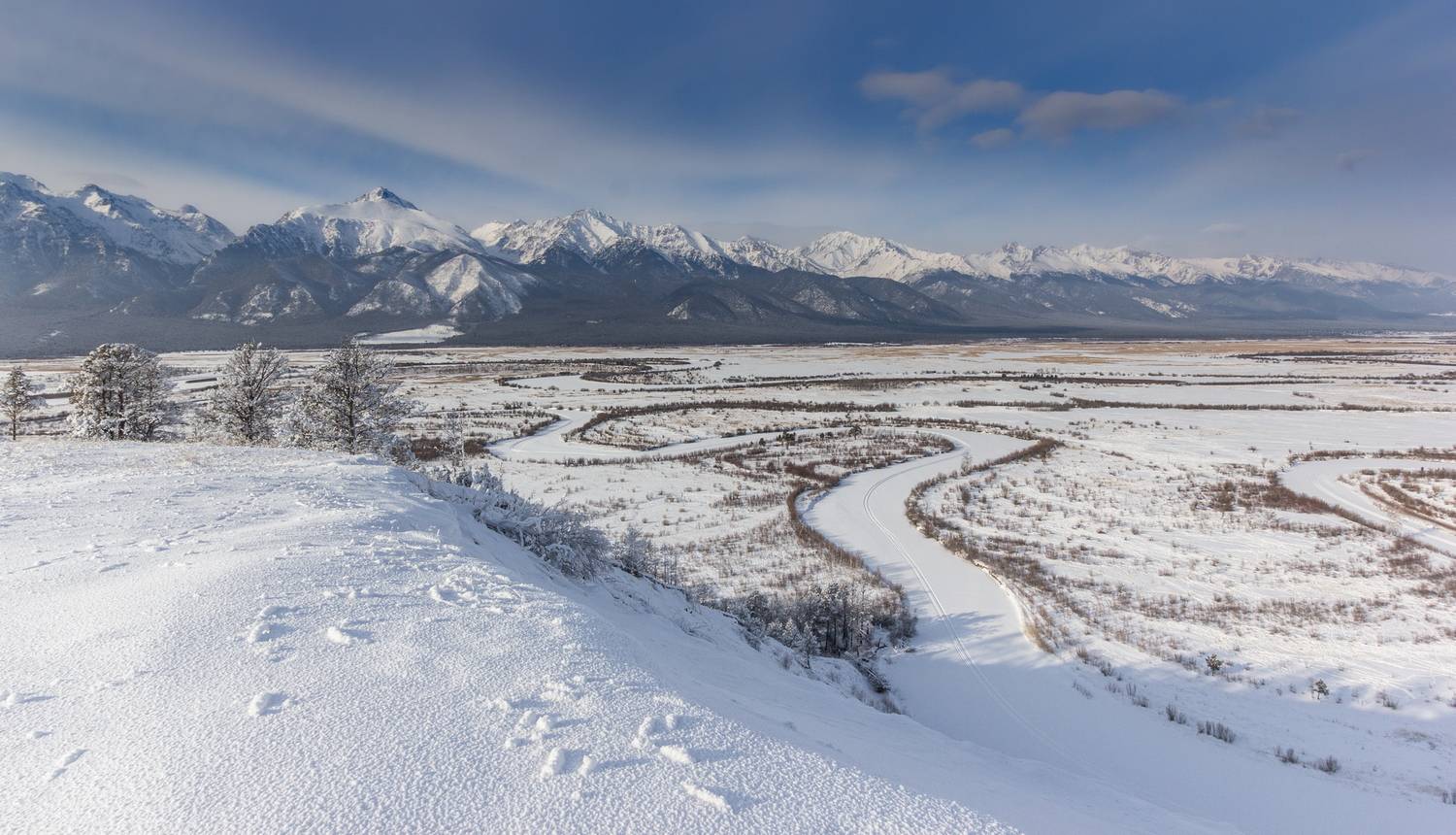 , Трофимов Алексей