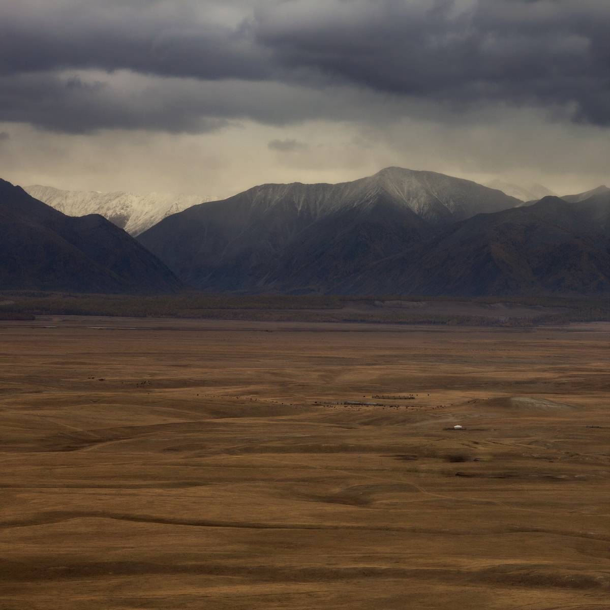 , Трофимов Алексей