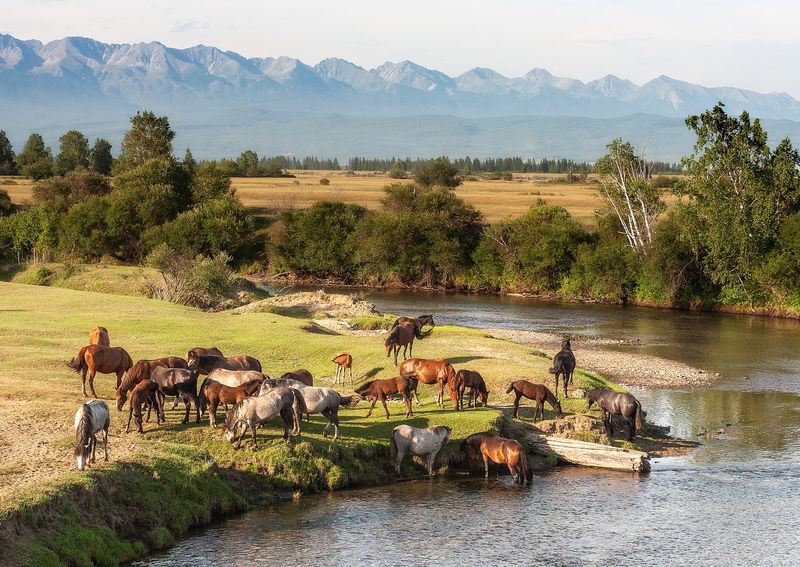 Харагун-голphoto preview
