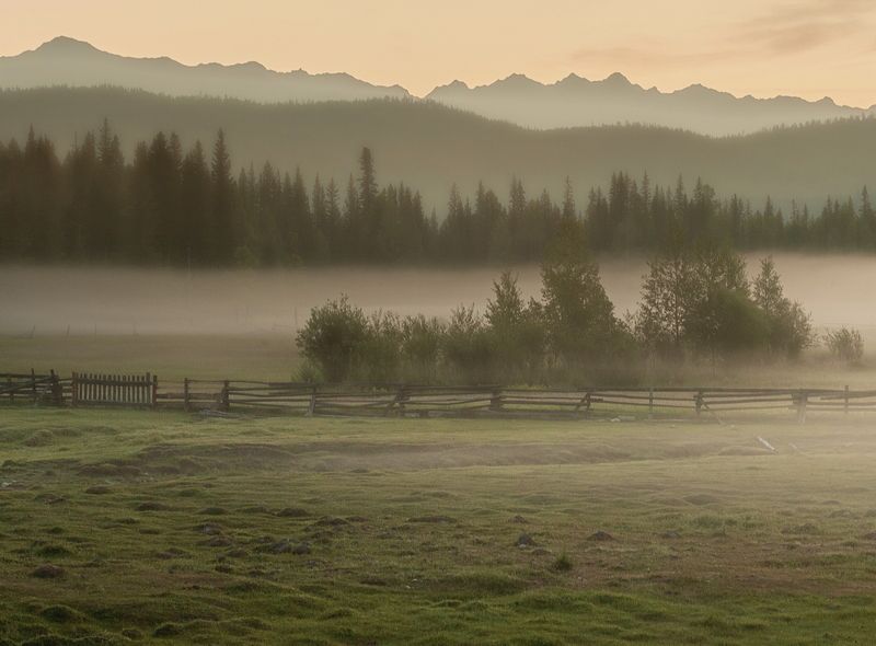 Летним утром в Тункеphoto preview