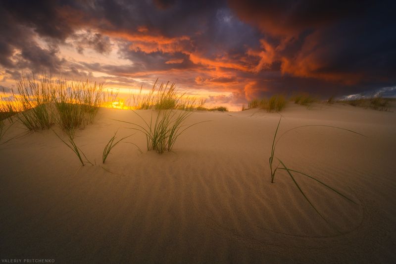 В дюнахphoto preview