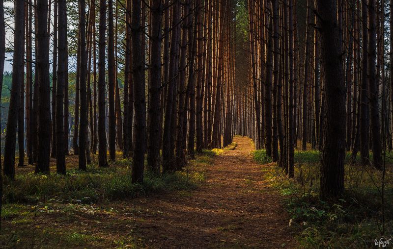 Поездка на озеро Штаныphoto preview