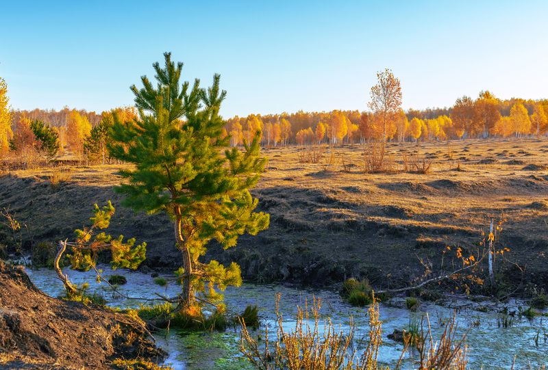 природа, пейзаж, урал, осень Золото Уралаphoto preview