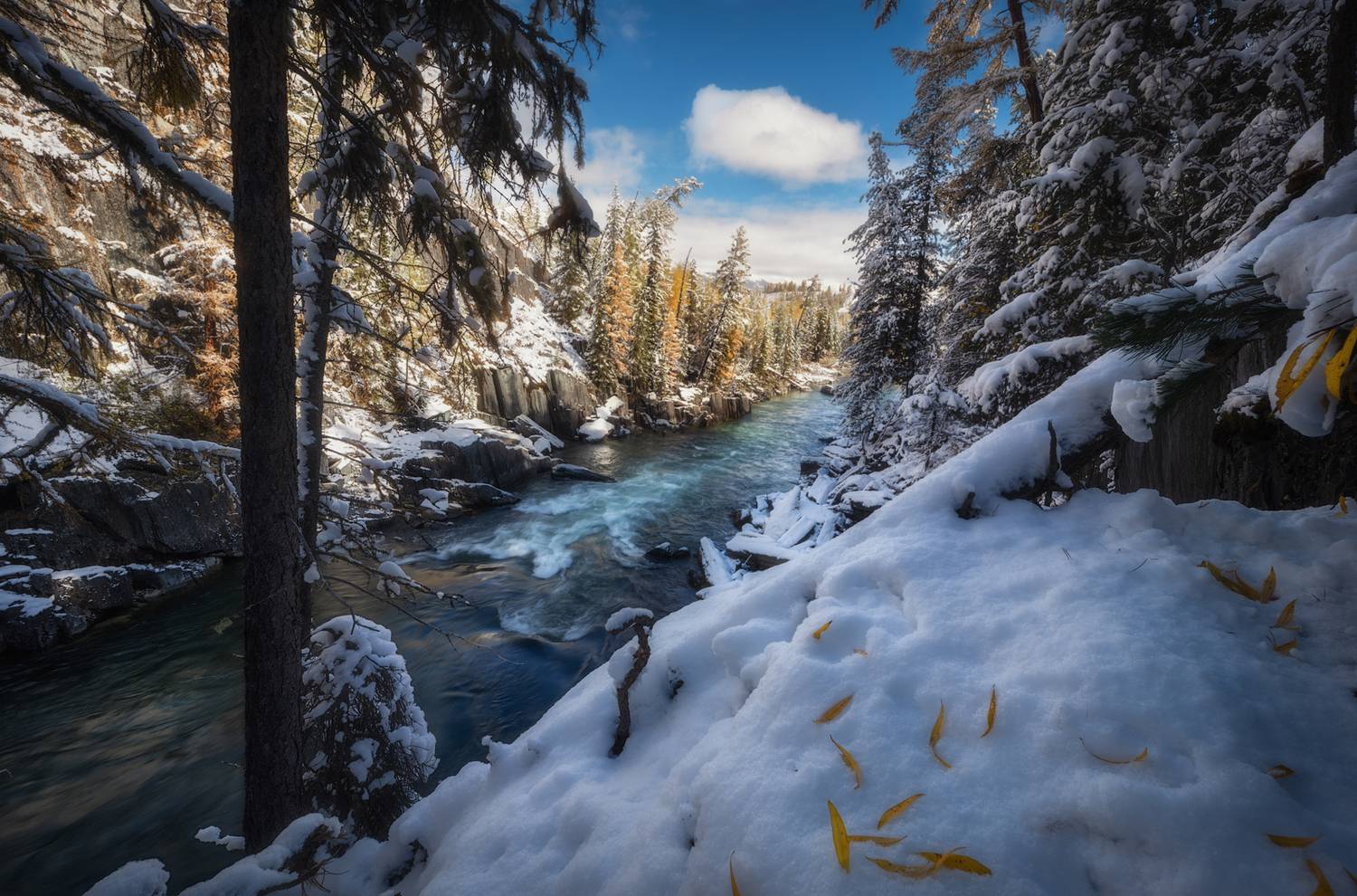 алтай, горный алтай, пейзажи алтая, кош-агачский район, горная река, осень, горы, осенний алтай, горная тайга, Рубан Елена