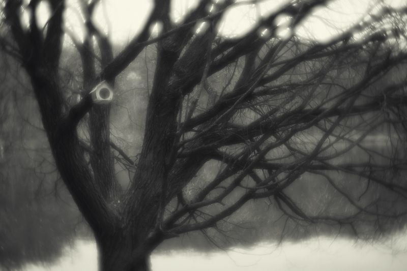 чб Хитросплетения переплетенийphoto preview