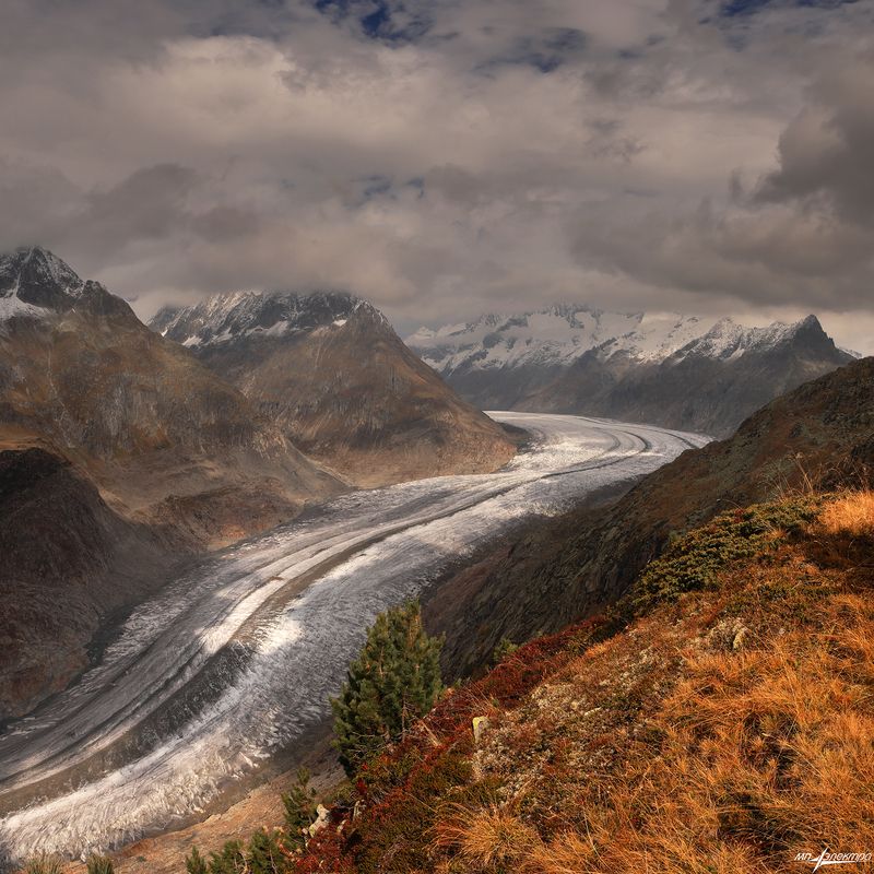 swiss Алечphoto preview