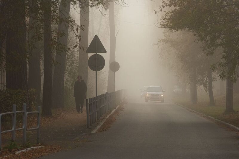 стрит, город, туман, осень, утро История одного утраphoto preview