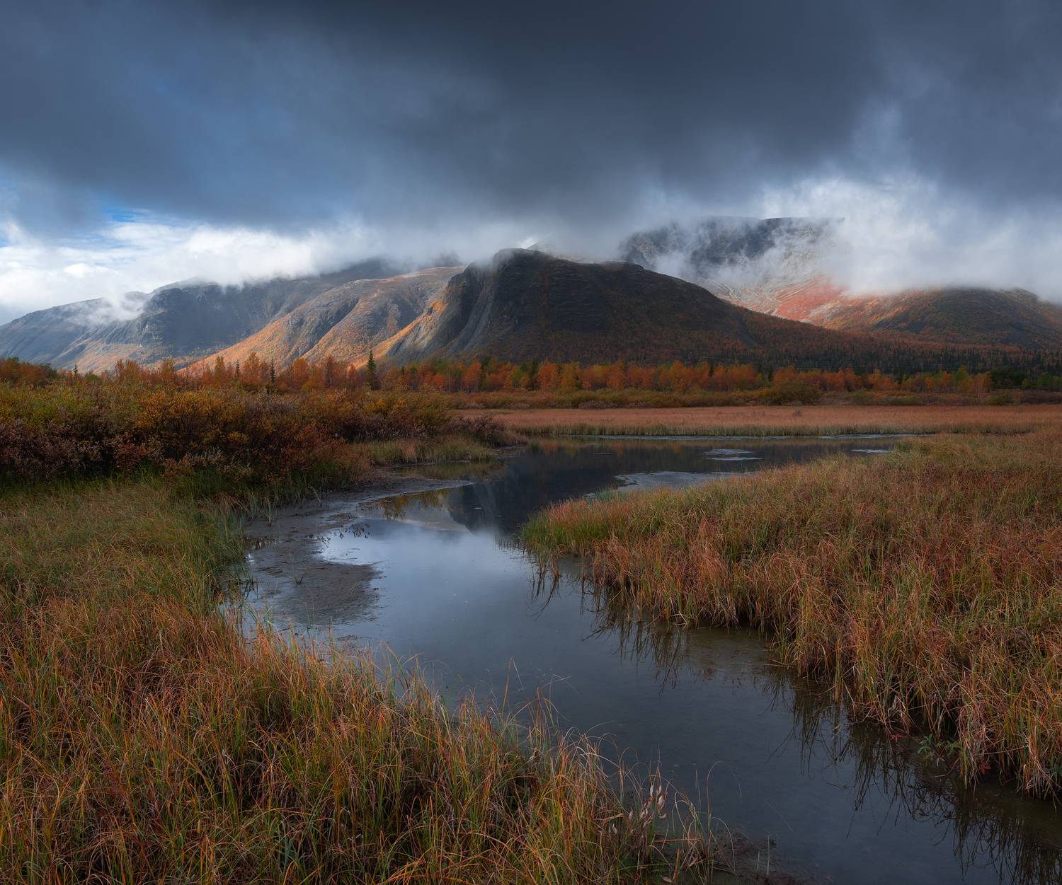 Автор: Истомин Виталий , Истомин Виталий