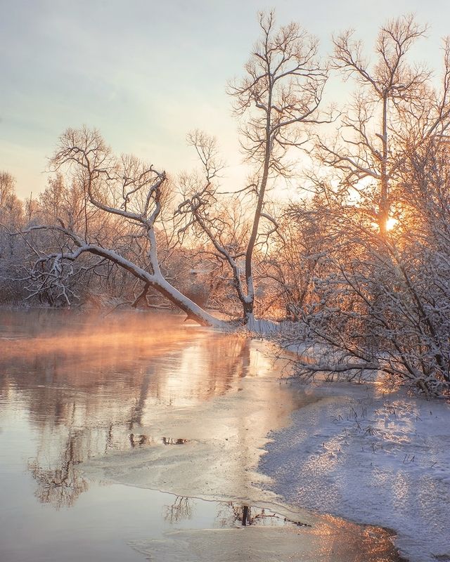 Морозный январьphoto preview